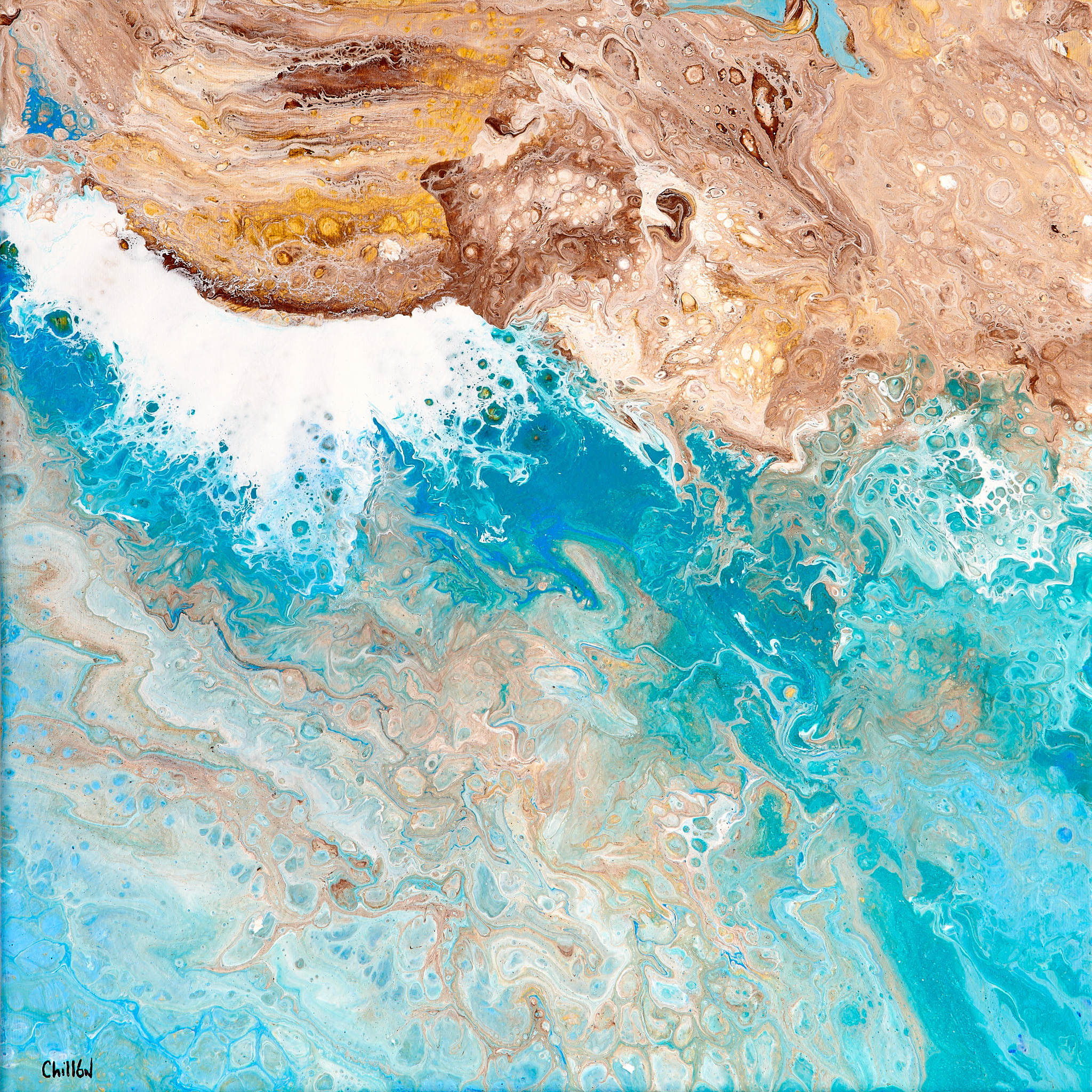 COLECCIÓN EL MAR DE LA VIDA COLECCIÓN EL MAR DE LA VIDA