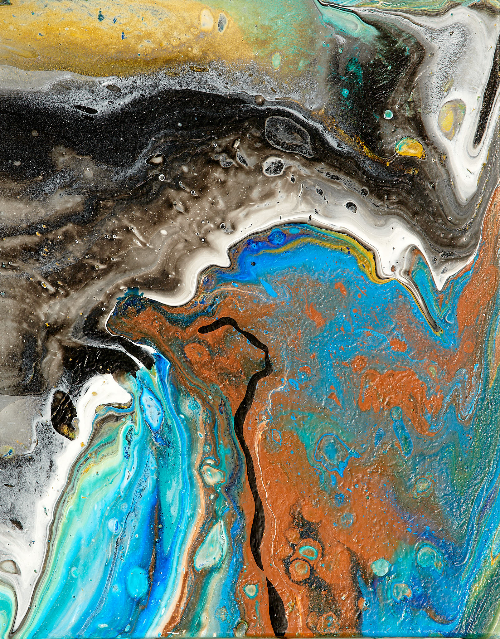 COLECCIÓN EL MAR DE LA VIDA COLECCIÓN EL MAR DE LA VIDA